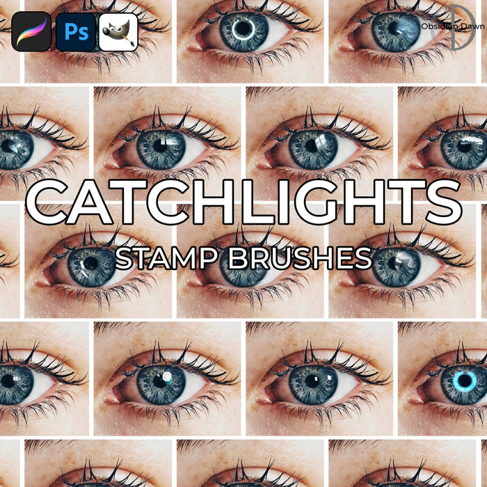 Catchlights Brushes – Photoshop, Procreate, GIMP