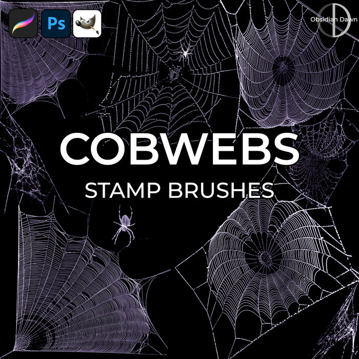 Cobweb Brushes - Photoshop, Procreate, GIMP