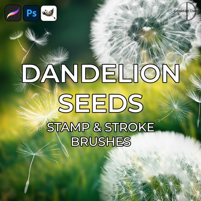 Dandelion Seeds Brushes - Photoshop, Procreate, GIMP