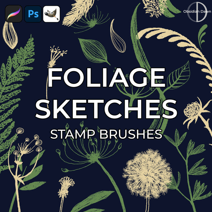 Foliage Sketches Brushes – Photoshop, Procreate, GIMP