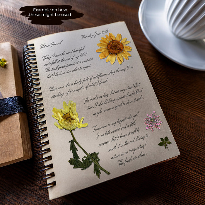 Pressed Flowers and Greenery PNGs