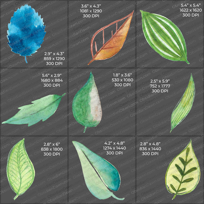 Stylized Leaves PNGs