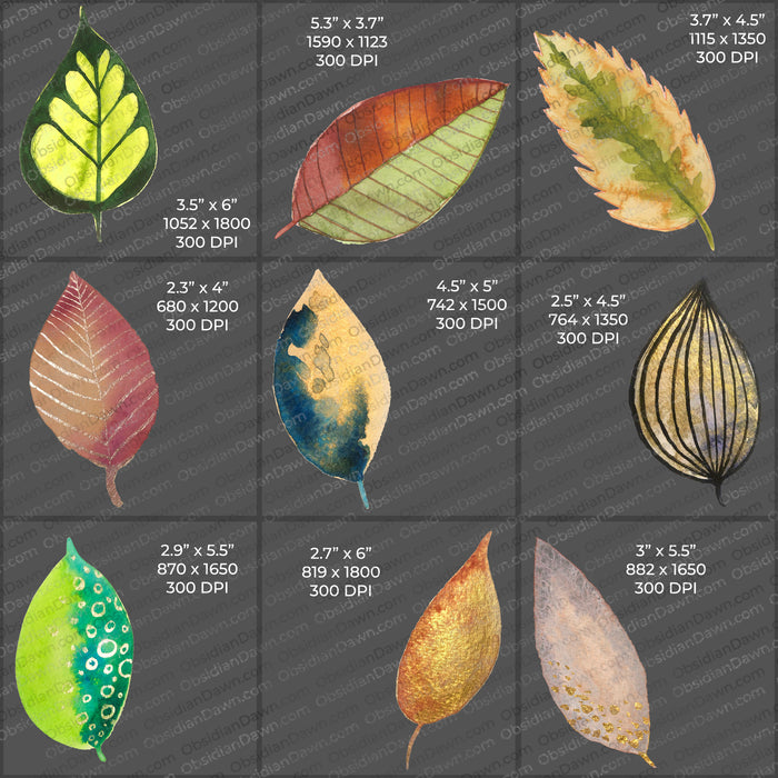 Stylized Leaves PNGs