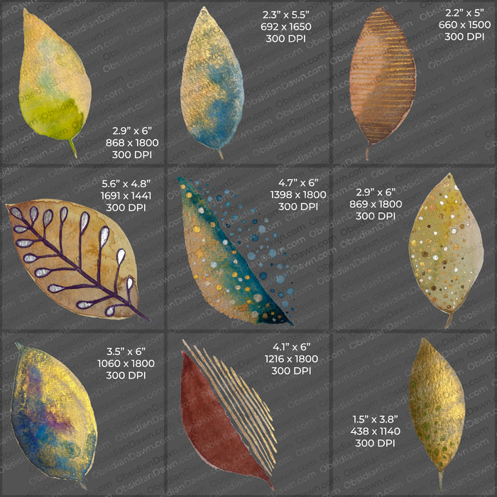 Stylized Leaves PNGs