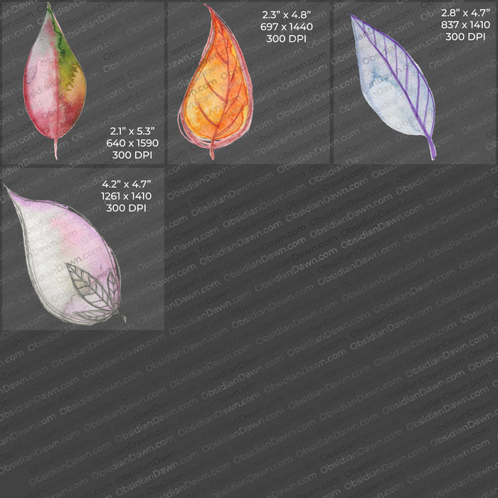 Stylized Leaves PNGs