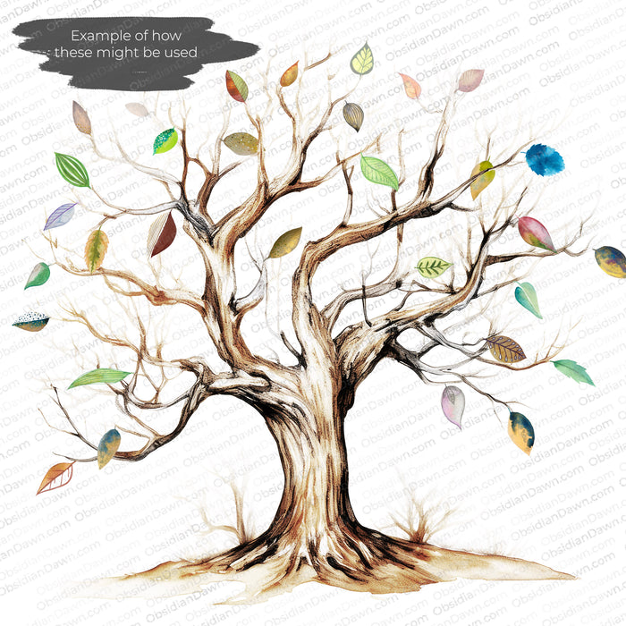 Stylized Leaves PNGs