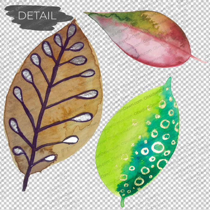Stylized Leaves PNGs