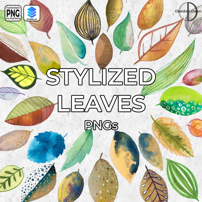 Stylized Leaves PNGs