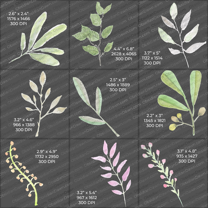 Watercolor Greenery PNGs