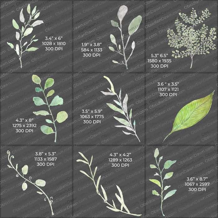 Watercolor Greenery PNGs