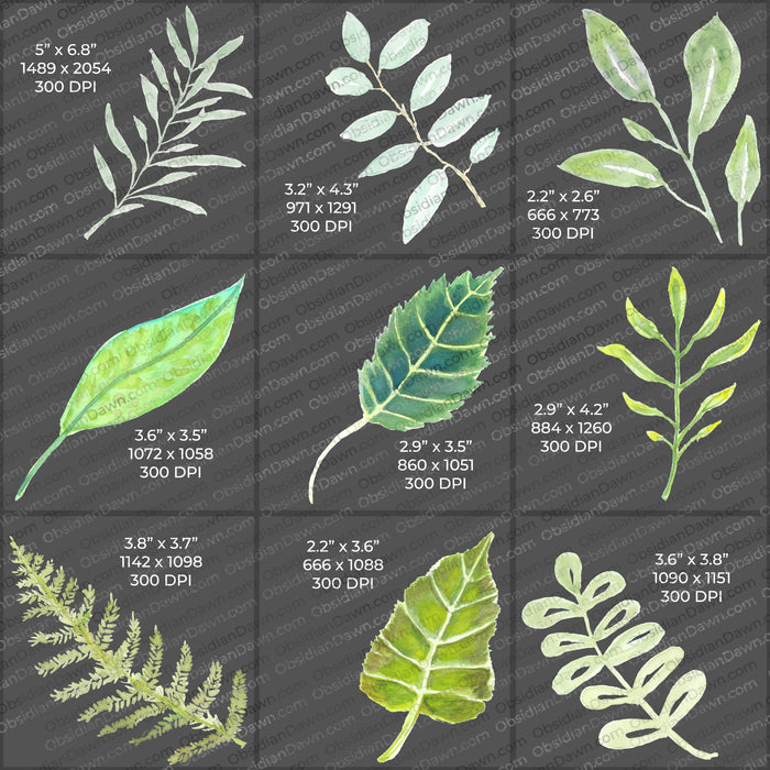 Watercolor Greenery PNGs