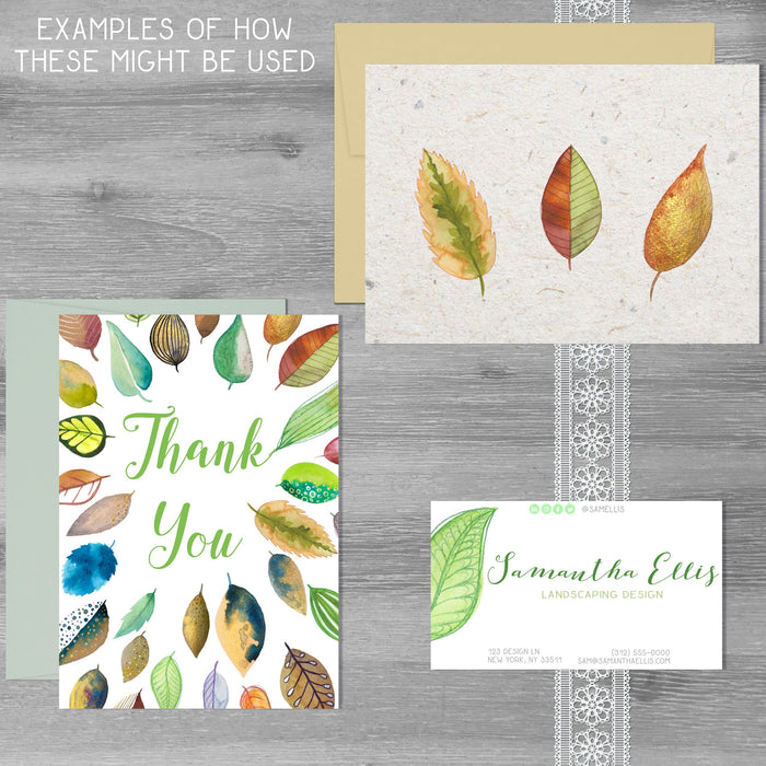 Stylized Leaves PNGs