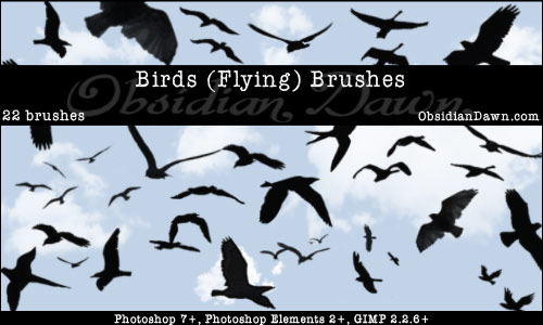 A set of Photoshop & GIMP brushes composed of various flying birds.