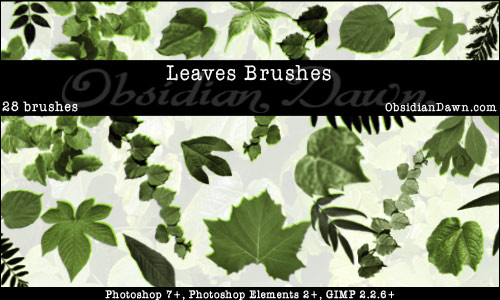 different types of leaves spectacle