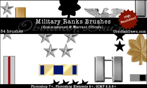 army ranks enlisted. US Military Officer Ranks