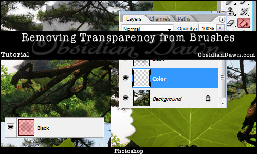 Removing Transparency from Brushes Tutorial