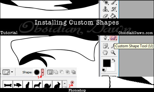 Installing Shapes Tutorial