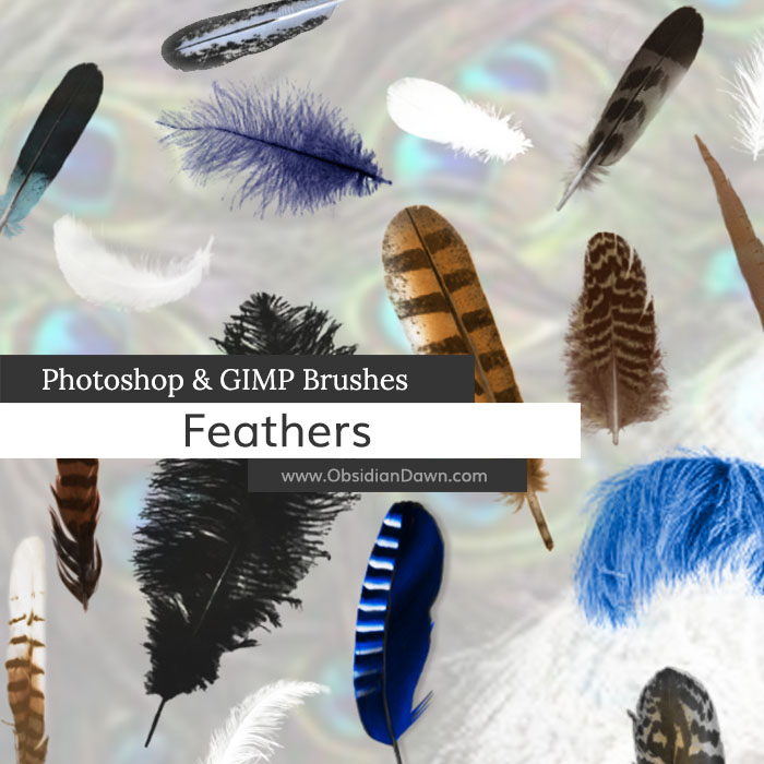 Feathers Brushes