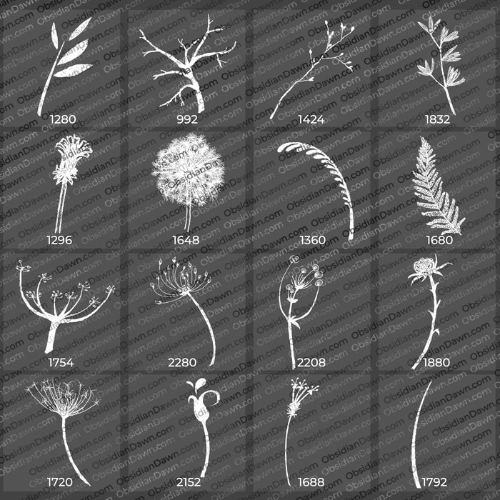 Foliage Sketches Brushes – Photoshop, Procreate, GIMP