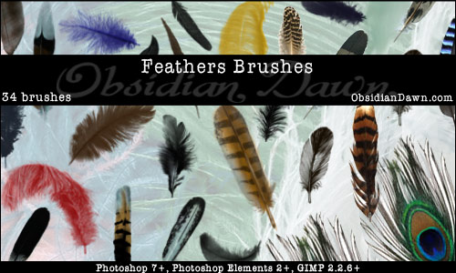 http://www.obsidiandawn.com/wp-content/images/brushes/feathers-brushes.jpg