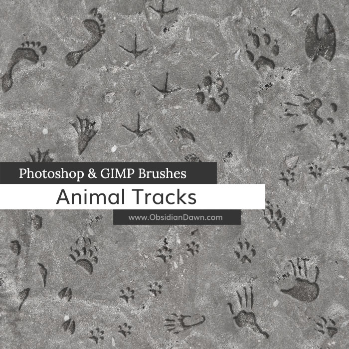 Animal Tracks Brushes