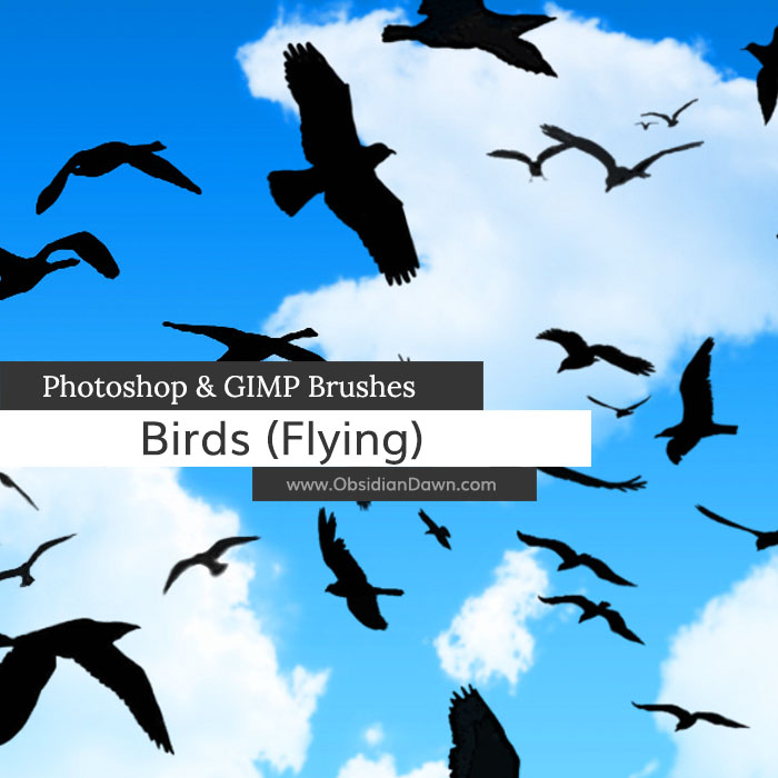 Birds (Flying) Brushes