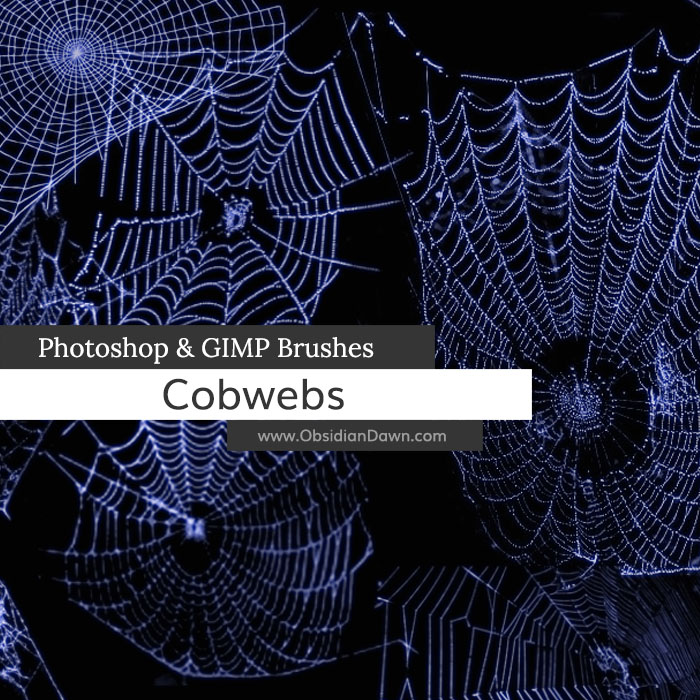 Cobwebs Brushes