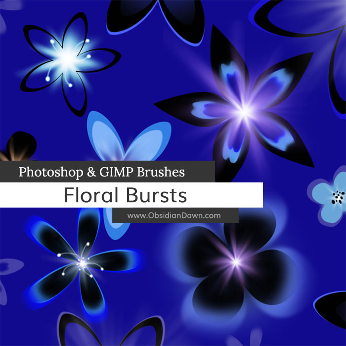 Floral Bursts Brushes