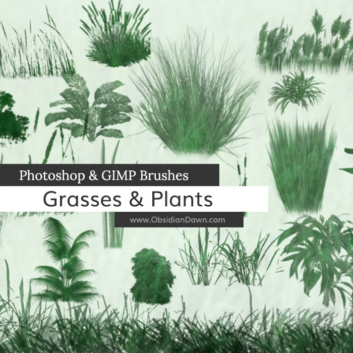 Grasses & Plants Brushes