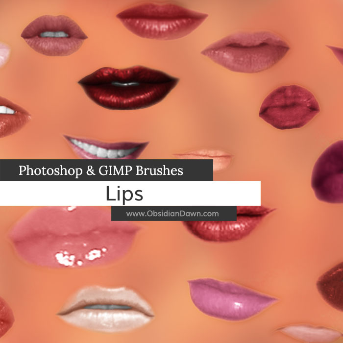 Lips Brushes