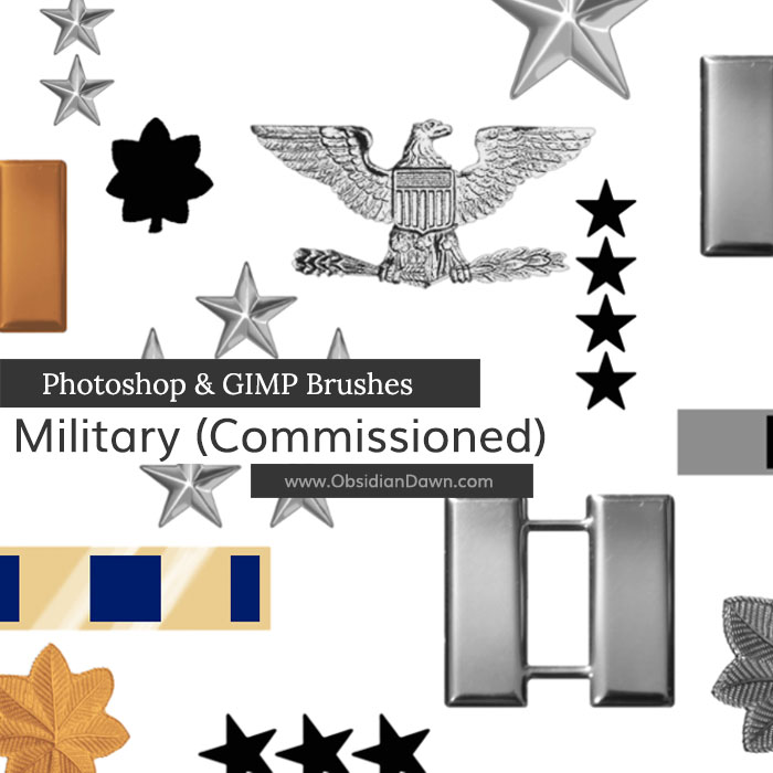 Military Ranks I Brushes