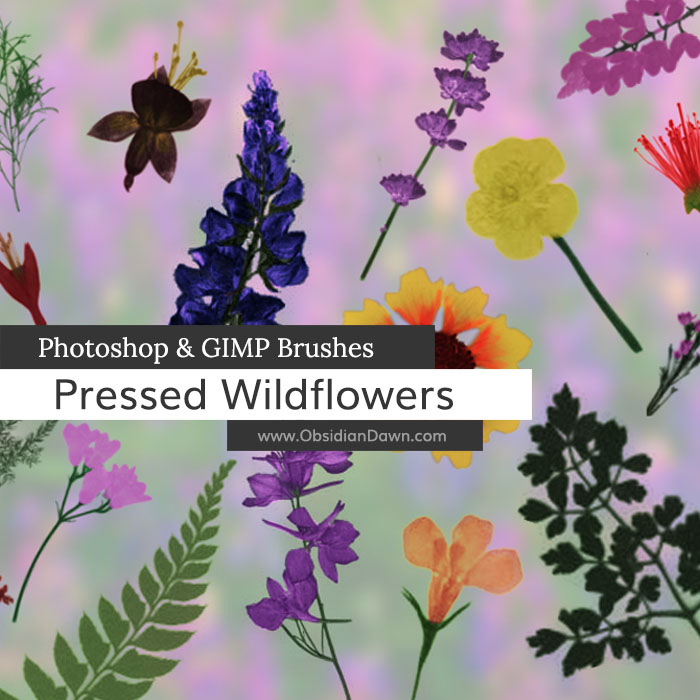 Pressed WildFlowers Brushes