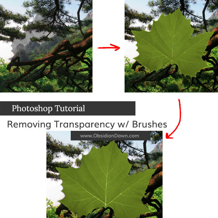Removing Transparency with Brushes Photoshop Tutorial Removing Transparency with Brushes Photoshop Tutorial