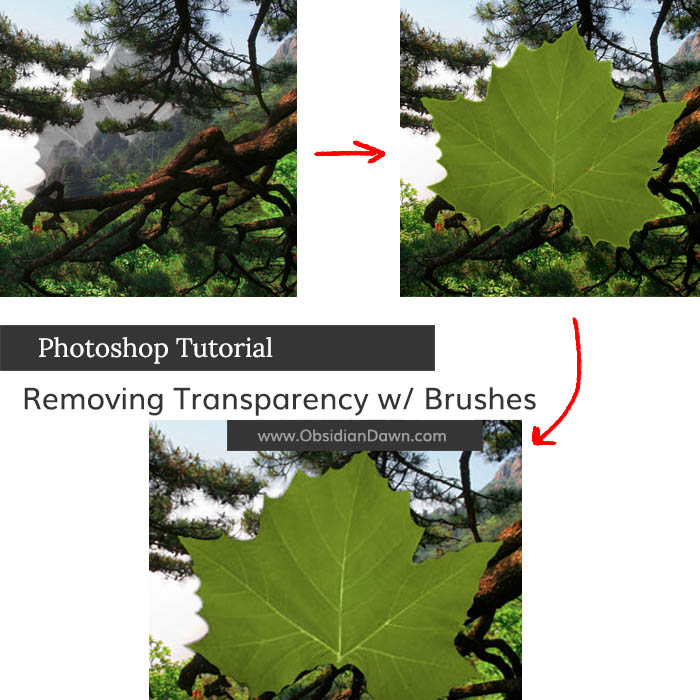 Removing Transparency with Brushes Photoshop Tutorial