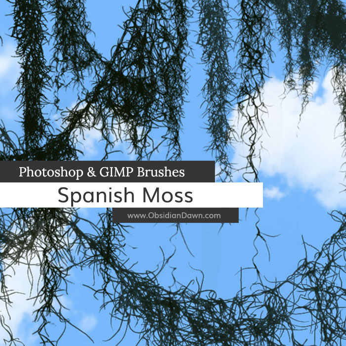 Spanish Moss Brushes