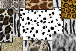 Animal Prints Brushes