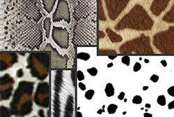 Animal Prints Patterns