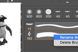 Creating Brushes Tutorial