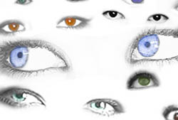 Eyes Brushes