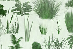 Grasses n Plants Brushes